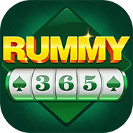 Rummy 365 Android Icon